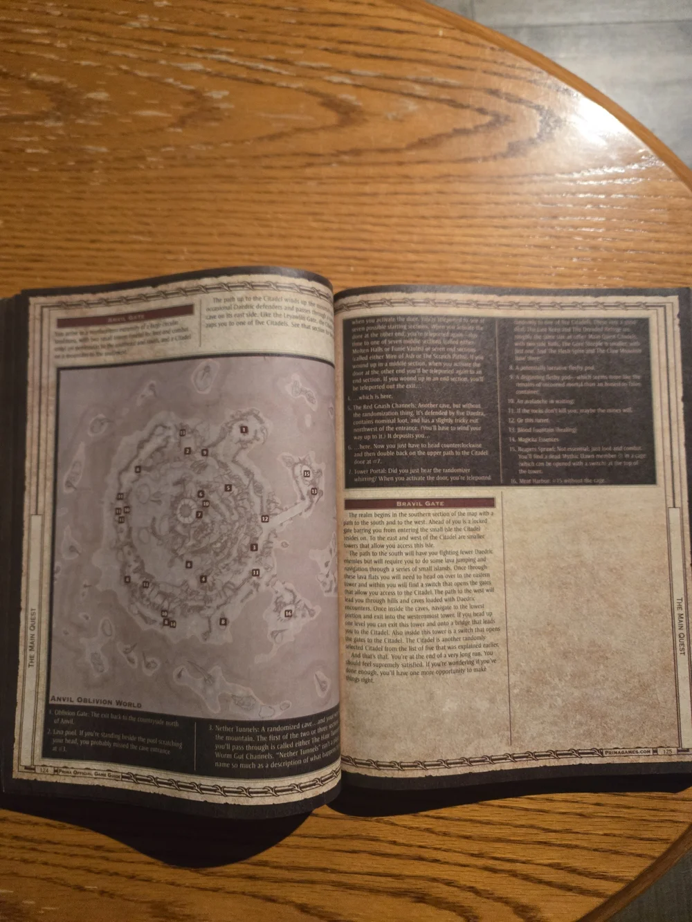 The Elder Scrolls IV: Oblivion Official Game Guide